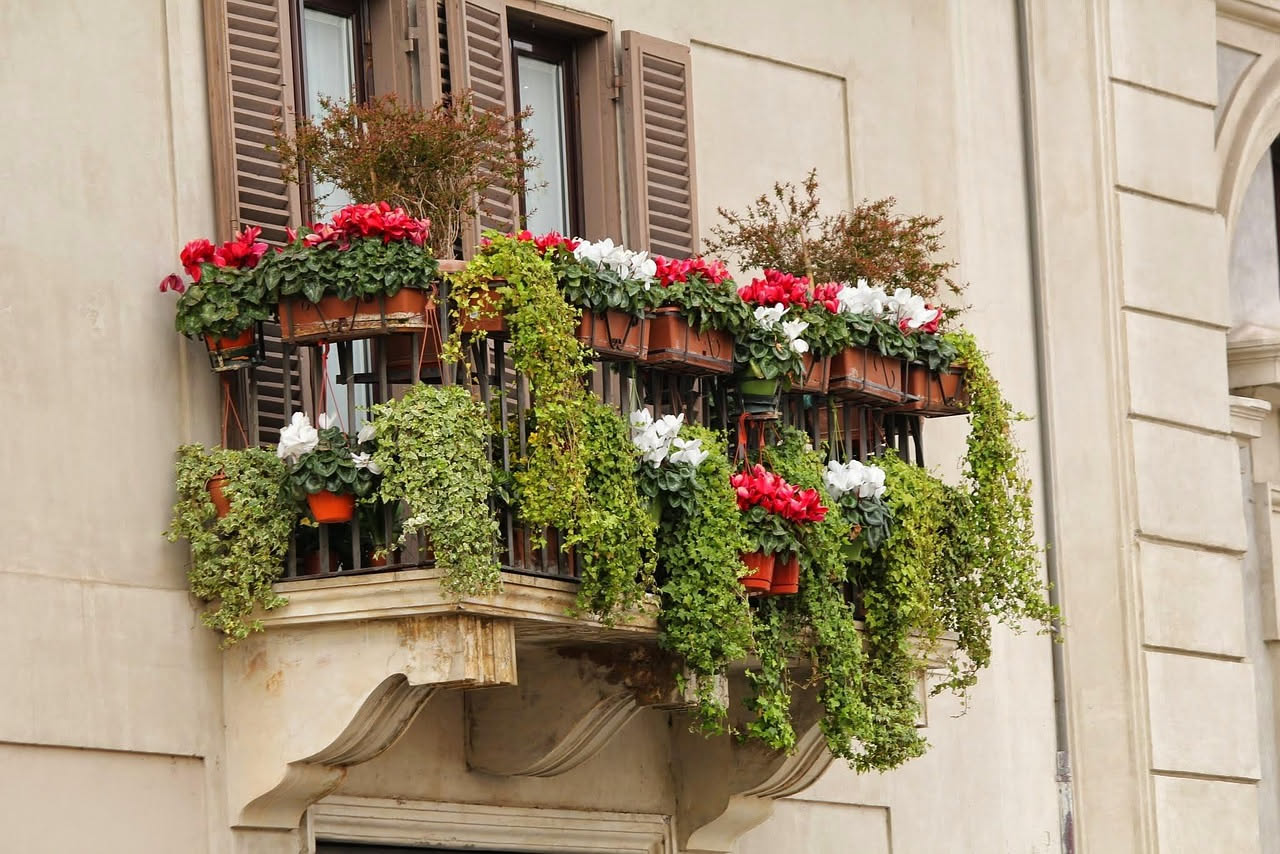 Il tuo balcone ad aprile: cosa piantare adesso