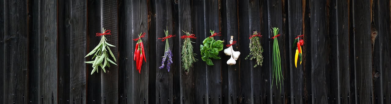 Guida completa alle erbe aromatiche da balcone