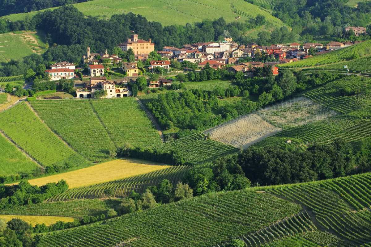 Bottiglia di Barolo parzialmente consumata accanto a una pentola di rame con braisato, accanto un vaso di confettura di uva e una ciotola di risotto al Barolo in cucina tradizionale piemontese