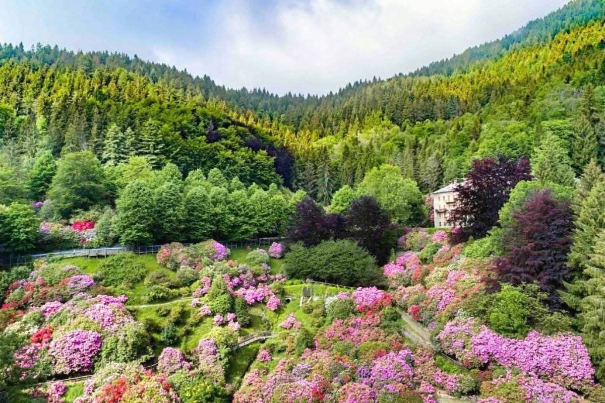 Il ruolo invisibile del verde privato