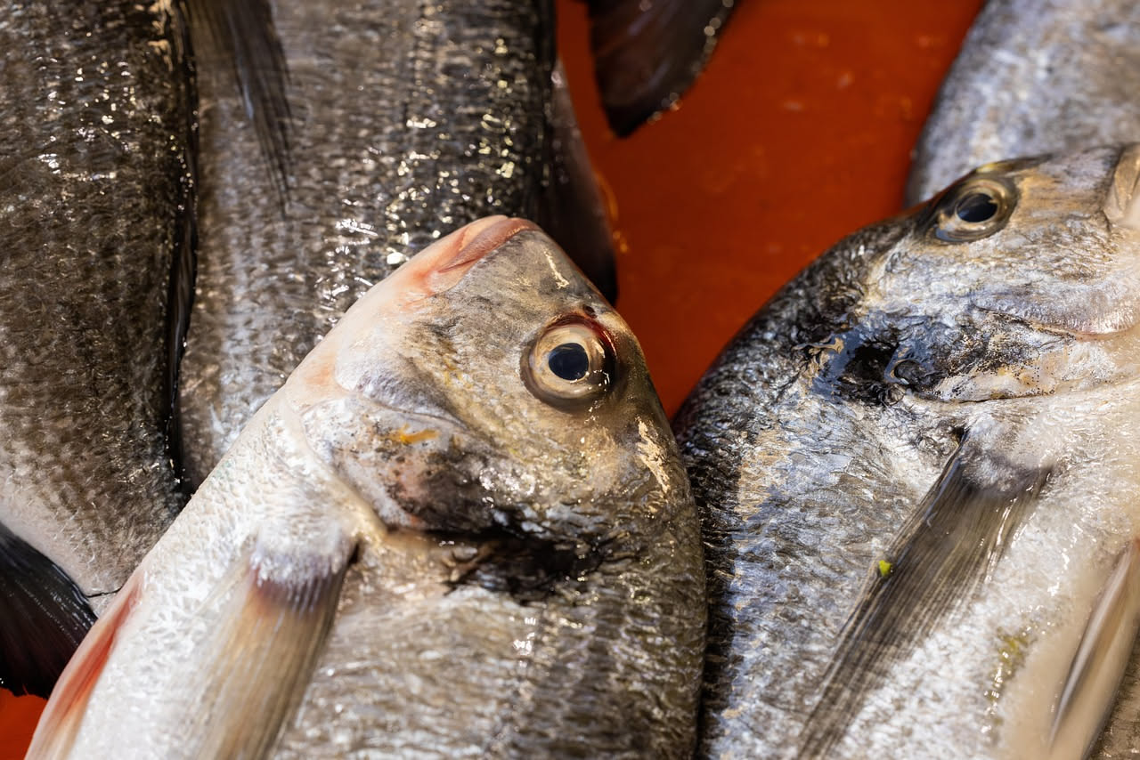 Pesce fresco al mercato: come riconoscere davvero da dove viene