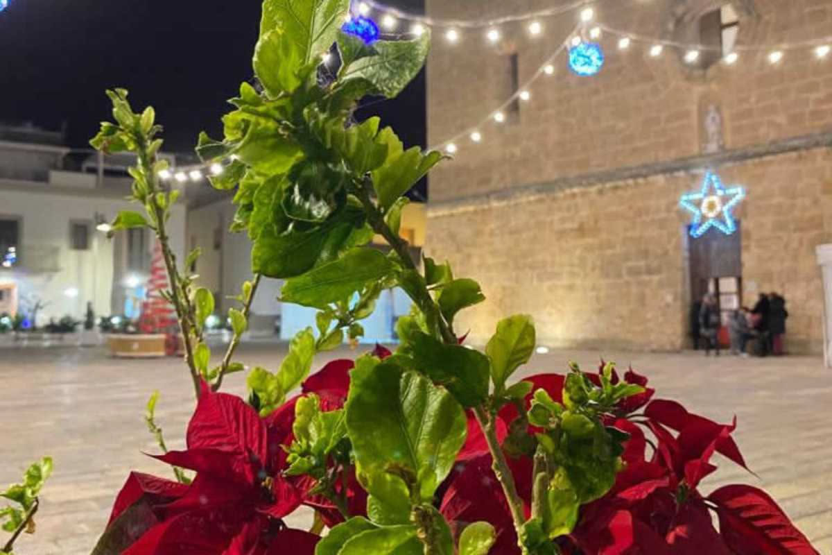 Bari verde: il piano pubblico che trasforma la metropoli mediterranea