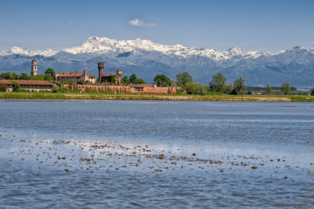 Facciata di casa veneta in laterizio rosso scuro con finestre bifore, muro intonacato color panna con tracce di umidità in basso e vegetazione cresce sui bordi inferiori