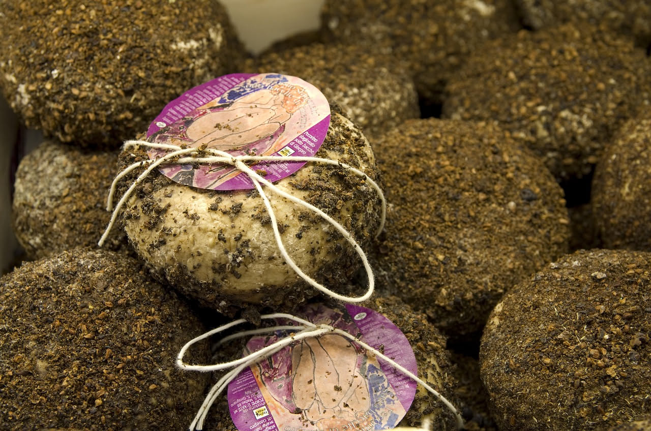 Forme di pecorino sardo in diverse fasi di stagionatura, da giovane a stagionato, disposte su assi di legno in una cantina tradizionale con muri di pietra