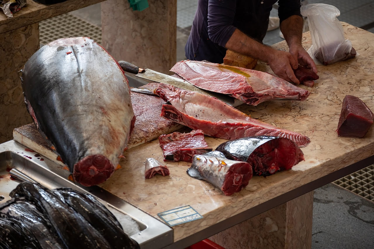 Filetto di tonno rosso fresco su superficie di marmo bianco accanto a lattina di tonno sott olio aperta con forchetta, sullo sfondo limone giallo e erbe aromatiche