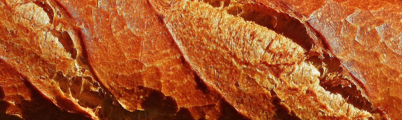 Filiera del pane italiano: quanto costa davvero il grano locale