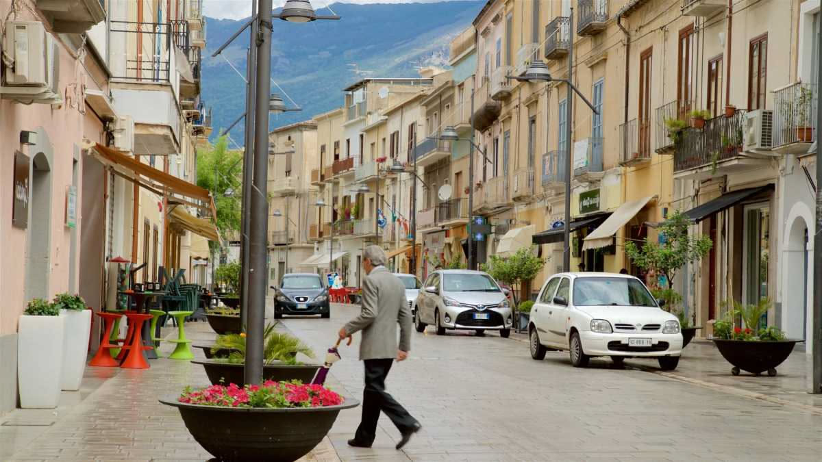 Caffè siciliano dalla terra alla tazza: chi lo coltiva ancora oggi