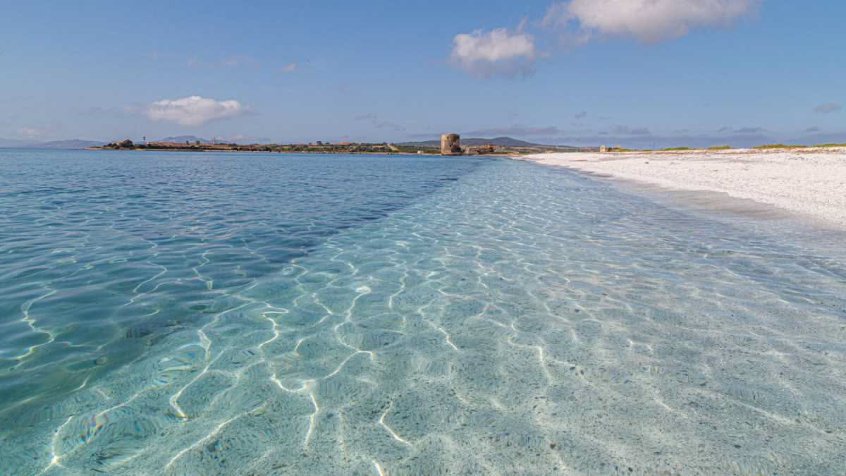 L'acqua della Capitanata: come la siccità ha cambiato l'agricoltura pugliese