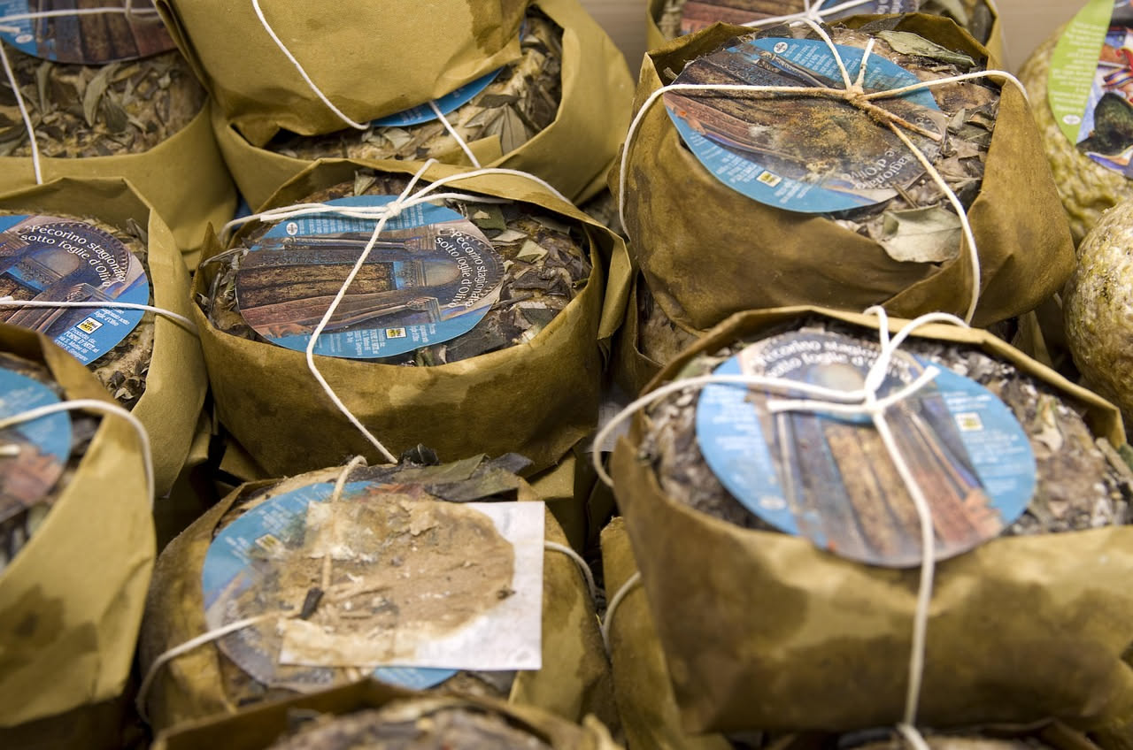 Pecorino sardo: da malga a tavola, il percorso di un formaggio