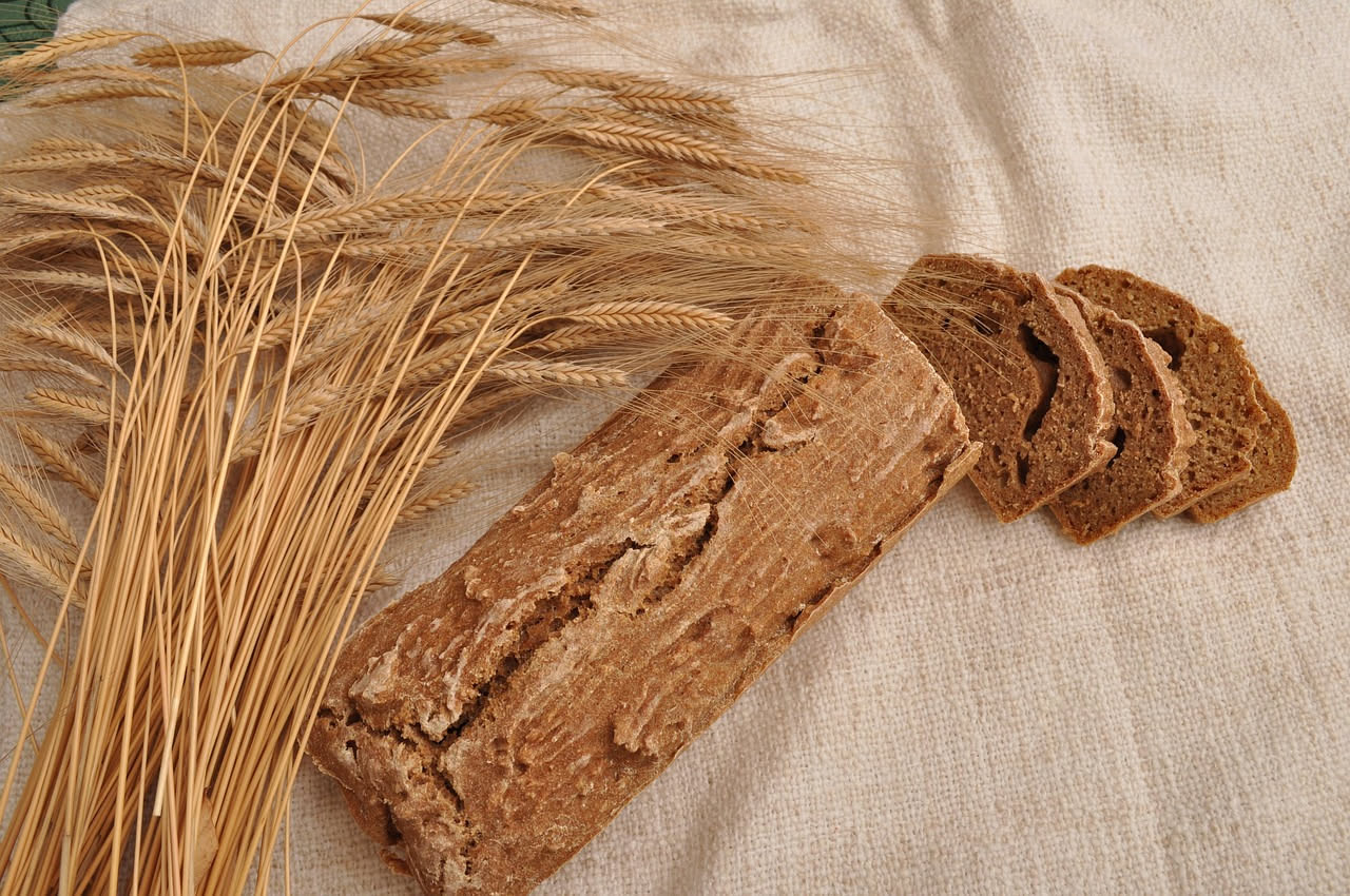 Pane di segale alpino: il viaggio dalla montagna trentina alla tavola