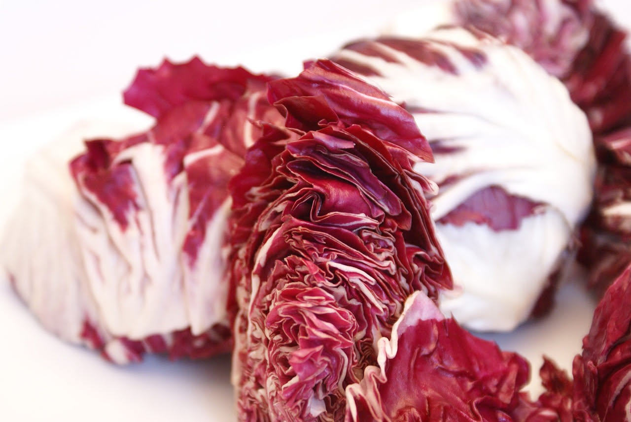 Coltivare il radicchio in vaso: guida completa per il balcone