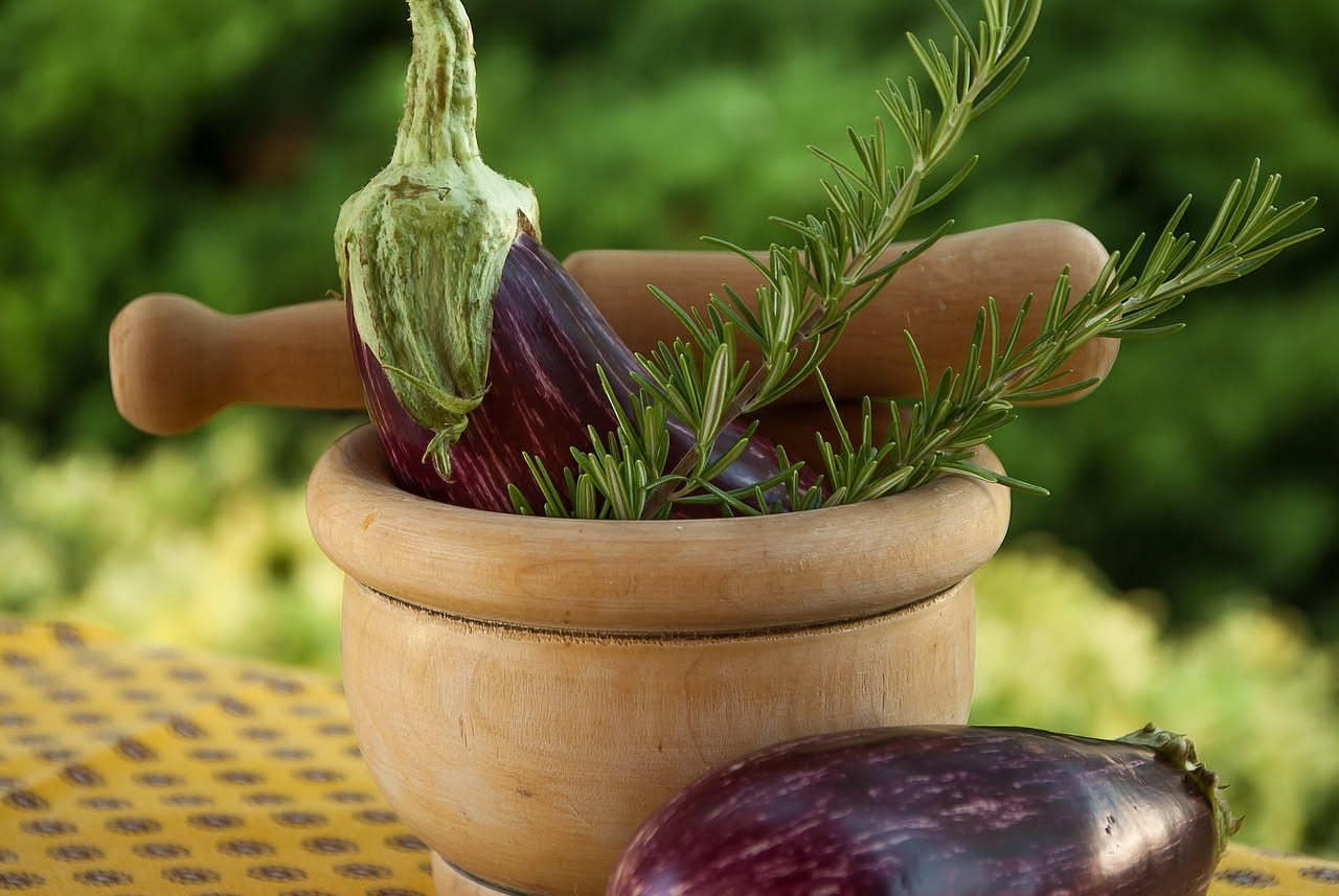 Melanzane viola scuro appese ai rami di piante rigogliose in vasi di terracotta su un balcone soleggiato con foglie verdi