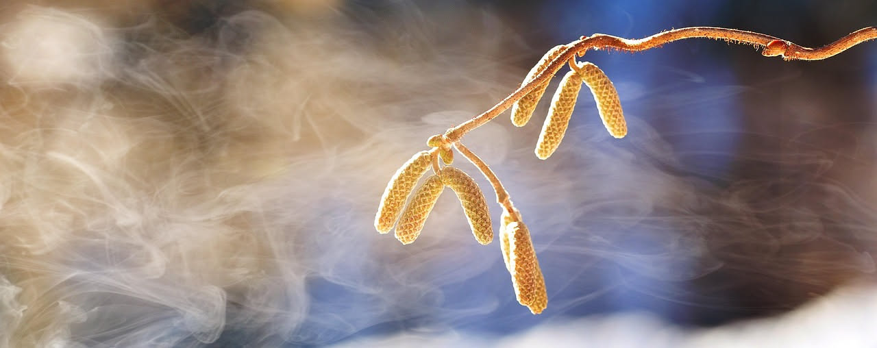 Eliminare gli aloni dall'acciaio: metodi naturali che funzionano
