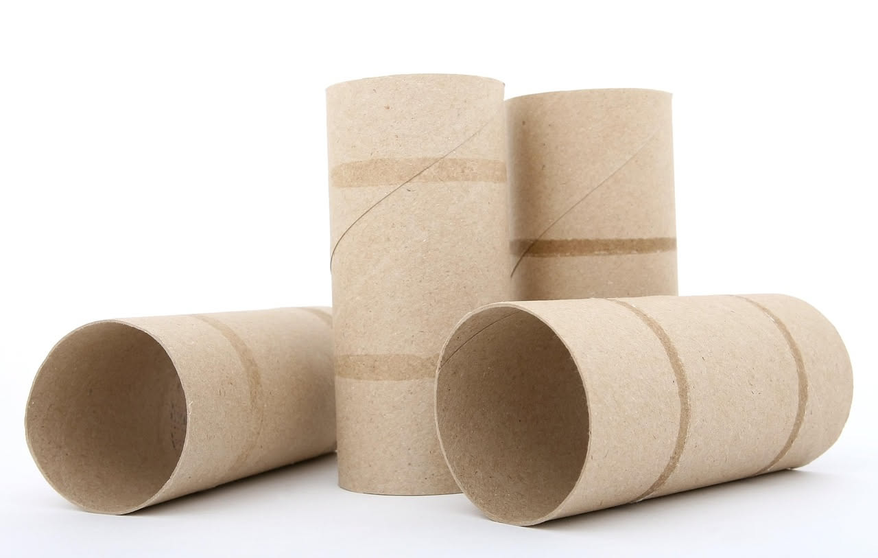 Riciclare i rotoli di carta igienica: 10 idee creative per non buttarli