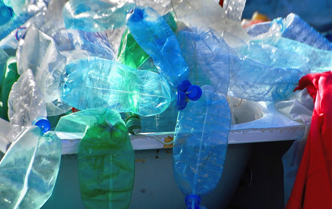 Contenitori di plastica trasparenti e colorati ripieni di alimenti, cancelleria e piccoli oggetti, disposti ordinatamente su un tavolo di legno con piante verdi sullo sfondo