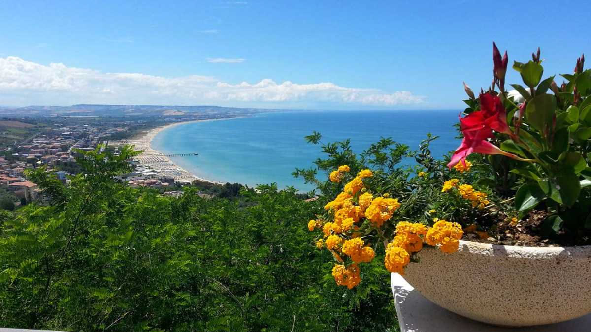 Orto domestico con goccia irrigazione su pomodori e zucchine coperto di paglia, sotto sole estivo con cielo azzurro