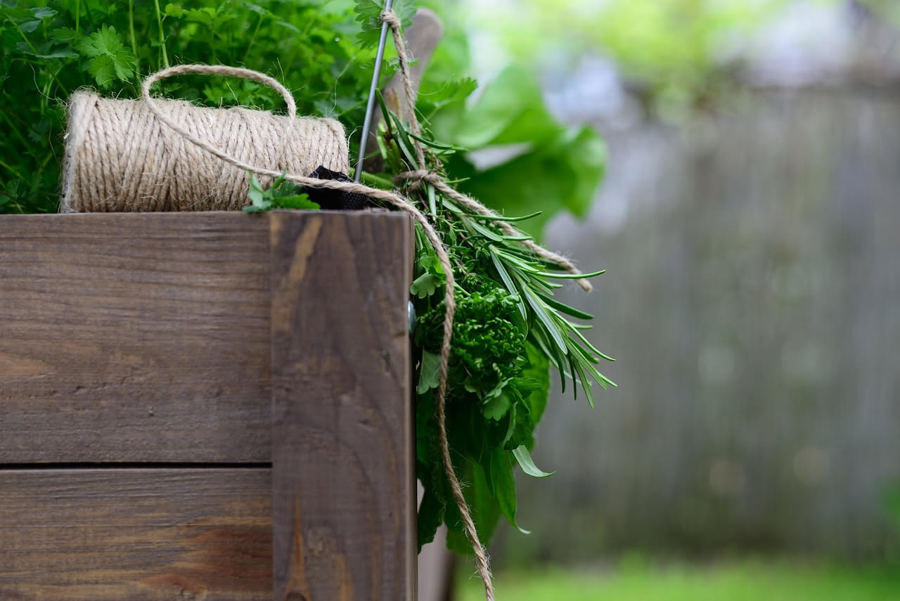 Quali erbe aromatiche resistono meglio all'afa: la lista